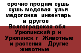 срочно продам сушь, сушь медовая, ульи, медогонка, инвентарь  и другое. - Волгоградская обл., Урюпинский р-н, Урюпинск г. Животные и растения » Другие животные   . Волгоградская обл.